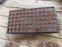 Plateau de semis multi-cellules en plastique pour jardin domestique, serre, herbes et fleurs – Plateau de germination et de culture
