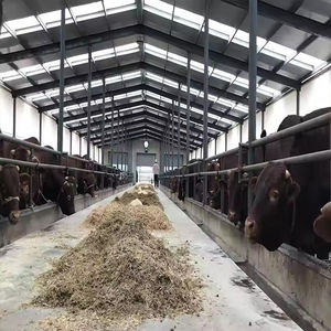 การออกแบบคลังสินค้าในโรงงานอุตสาหกรรมทำจากเหล็กโครงสร้างโรงเก็บของใช้ในสำนักงานสำหรับใช้ในโรงงานและโรงงาน - Product Image 2