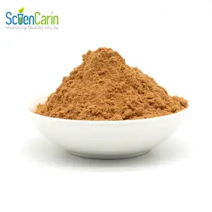 Supplément à base de plantes de haute qualité Cuscuta Chinensis Dodder Seed Cuscutae Seed Extract Powder