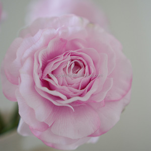 Ranunculas de <span class=keywords><strong>flores</strong></span> artificiales de <span class=keywords><strong>mil</strong></span> capas, <span class=keywords><strong>flores</strong></span> de <span class=keywords><strong>mil</strong></span> capas, ranunculas individuales sin hojas, ranúnculo de color rosa claro - Product Image 4