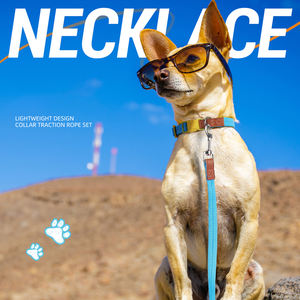 Venta al por mayor de collares y correas ajustables de cuero de nylon para perros - Product Image 4