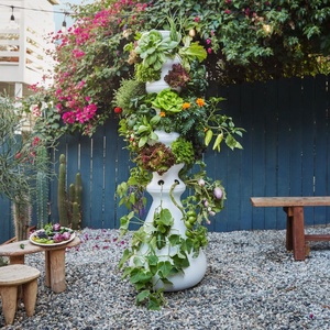 Grande serre de jardin hydroponique originale avec cadre en plastique Boîte de culture anti-pourriture pour salle de culture intérieure - Product Image 2