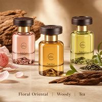 Diffuseur de parfum de luxe 120 ml en verre pour voiture, purificateur d'air, éliminateur d'odeurs, décoration d'intérieur