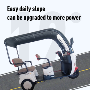 <span class=keywords><strong>Europa</strong></span> Alemania Australia <span class=keywords><strong>3</strong></span> ruedas 650W triciclo eléctrico superpotente para adultos 1 pieza con techo - Product Image 6