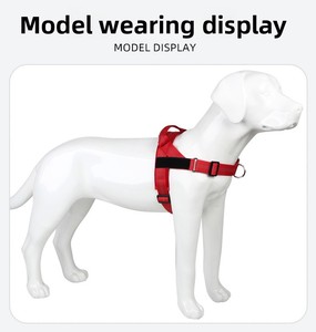 Imbracatura e Guinzaglio in Nylon Riflettente Turchese Anti-Trazione per Cani <span class=keywords><strong>di</strong></span> Taglia Media/Grande, Gilet Anti-Fuga per Border Collie Attivi - Product Image 6
