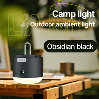Draagbare 3 In 1 Camping Licht Met Waterspray Luchtkoeler Muggenspray Ventilator Usb Oplaadbare Luchtbevochtiger Mini Mist Led Lamp