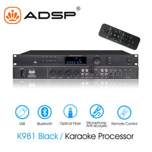 전문 디지털 노래방 오디오 프로세서 더블 ECHO + REVERB DSP 이펙터 메탈 쉘 - Product Image 2