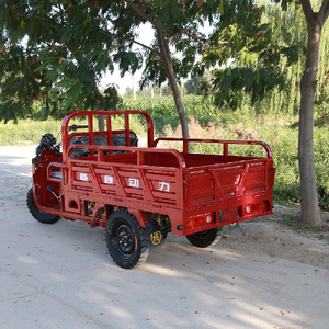 Low-Cost Gas-Powered Tricycle for Efficient Goods Transportation Reliable Tricycle <b>Gasoline</b> Motorcycle - Product Image 5