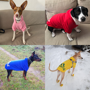 Vêtements d'hiver pour chiens, sweats à capuche en polaire chauds pour chiens, sweat-shirt pour chiens de petite, moyenne et grande taille, veste <span class=keywords><strong>Adidog</strong></span>, costume pour animaux de compagnie - Product Image 5