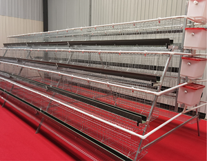 Nouvelles cages à poulets automatiques en acier de type A pour l'élevage de poules pondeuses - Product Image 5