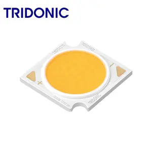 Módulo SLE SNC8 SLE 9mm 1500lm Módulos de holofote Todos os modelos disponíveis driver tridônico de led módulo de led tridônico driver tridônico