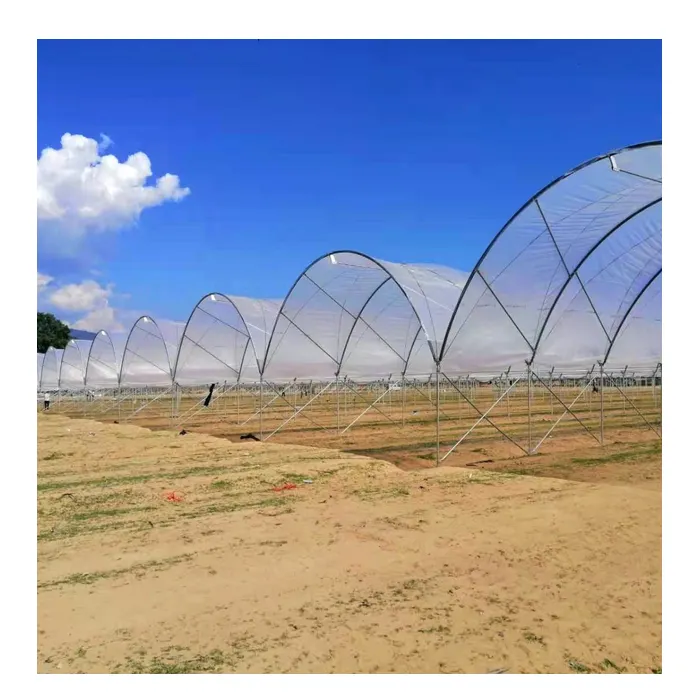 Politunnel a prova di insetto rete serra verde casa agricoltura commerciale per il mirtillo