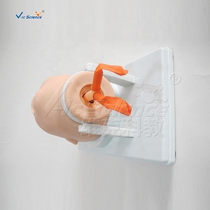 Modelo de Intubación de Recién Nacidos, Modelo de Enfermería Pediátrica, Modelo Médico de Enfermería Pediátrica - Product Image 5