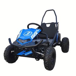 Trail Blazer sản xuất off road Rage 98cc 152cc 163cc Go Kart K1 Mini Mini Buggy - Product Image 2
