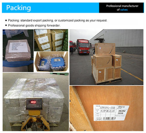 Medidor de Agua Volumétrico de Latón y Nylon, Bajo Flujo, Alta Sensibilidad U0 D0, Medición Estable para Instalación Interior y Exterior - Product Image 6