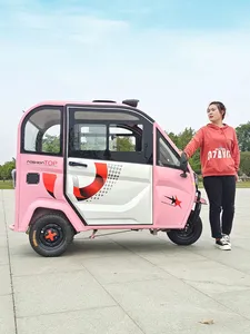 2000W Electric Tricycle Closed Cab Rain-proof Electric Tricycle