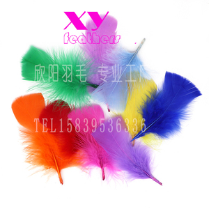 <span class=keywords><strong>Plumes</strong></span> d'oiseaux de dinde blanches, 1 pièce, 5-7CM, haute qualité, vente en gros - Product Image 5