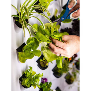 Tour de culture hydroponique multi-niveaux compacte avec pompe, système d'agriculture verticale automatique pour la production d'herbes et de légumes en intérieur/extérieur - Product Image 2