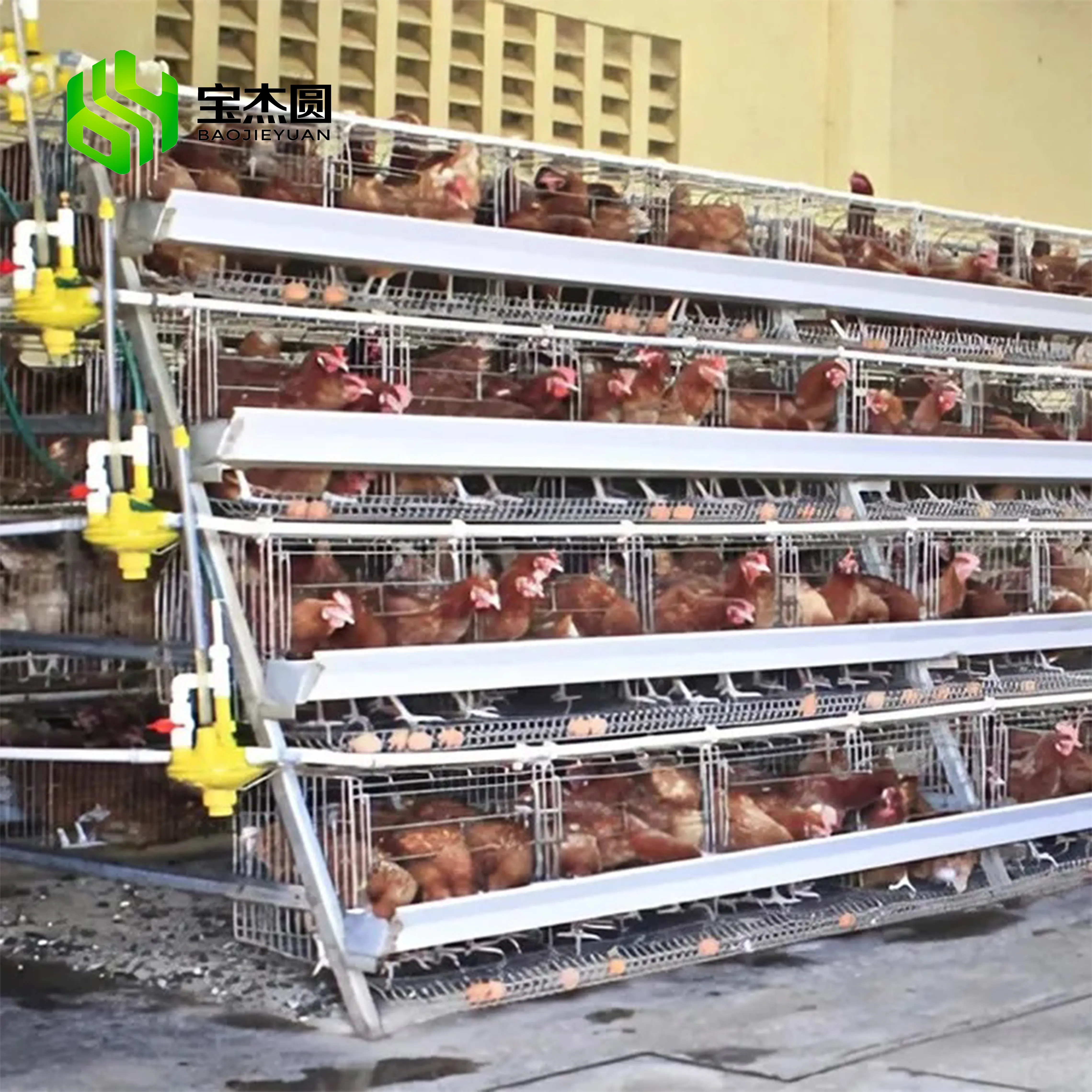 Bester Preis 4 Ebenen Vögel Ei legen Geflügelfarm Batteries chicht Automatischer Hühner käfig in Tansania