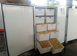 Sistema Automático <span class=keywords><strong>de</strong></span> Cultivo Hidropónico <span class=keywords><strong>de</strong></span> <span class=keywords><strong>Brotes</strong></span> <span class=keywords><strong>de</strong></span> <span class=keywords><strong>Soja</strong></span>, Máquina <span class=keywords><strong>de</strong></span> <span class=keywords><strong>Brotes</strong></span> <span class=keywords><strong>de</strong></span> Frijol Mungo - Product Image 3