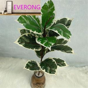 Approvisionnement direct usine : Arbre en <span class=keywords><strong>caoutchouc</strong></span> à 15 branches / Arbre libellule / <span class=keywords><strong>Ficus</strong></span> Lyrata - Product Image 2