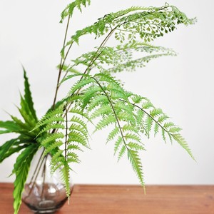 Bouquet de plantes artificielles de fougères Dream Castle 30cm-100cm Décoration de table intérieure Verdure Style Wabi Sabi - Product Image 2