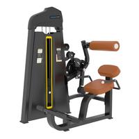Machines de fitness de qualité commerciale, équipement d'entraînement musculaire, double fonction : entraîneur abdominal/extenseur dorsal