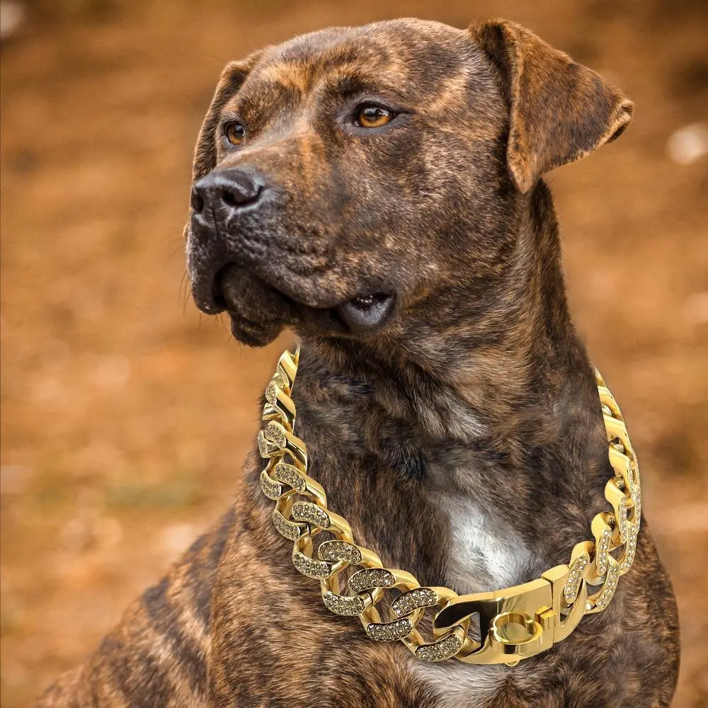 Pet için toptan özel Logo büyük paslanmaz çelik altın elmas köpek tasması küba bağlantı zincirleri