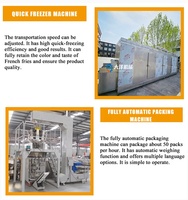 Ligne de production automatique de frites congelées et de frites de légumes en acier inoxydable SUS304, prix usine DY, 200-600 kg/h