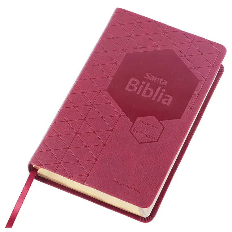 OEMPUレザーSanta Biblia Reina Valera1960ゴールドエッジ付き聖書印刷サービス