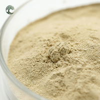 Poudre de citron 100% naturelle de qualité alimentaire, soluble dans l'eau, extrait de fruit instantané, extrait de jus de citron par extraction par solvant en fût