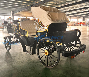 Chariot Royal Électrique Haut de Gamme pour Visites Touristiques – Produits de Qualité Supérieure et Élégants - Product Image 3