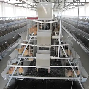 A Type H Type Layer Chicken Hens Cage Poultry Farm Feeder Chicks Broiler Chicken Coop Design