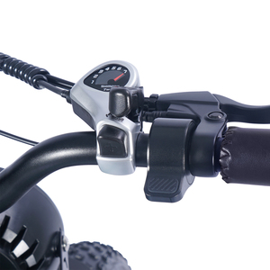 1000 Watts 350W 250W E-Bikes 48V 17.5Ah 15.6Ah 20 Inch Fatbike 20" <b>X</b> 4" Fat Tire for Adults - Product Image 6