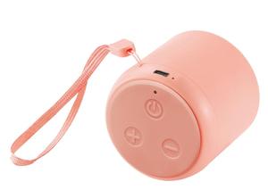 Altavoz Estéreo Inalámbrico Portátil Mini WS-307 con Búsqueda Automática de Radio FM, Reproductor de Música TF y Llamadas Telefónicas - Product Image 6