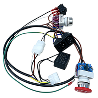 Câbles de charge USB A/C personnalisés, faisceau de câbles à âme en cuivre avec longueur et couleur sur mesure pour usage électronique