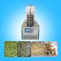 Secador de vacío liofilizador doméstico con máquina de liofilización al vacío 3 ~ 4 kg/lote de 2 a 3