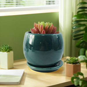 Piattaforma in ceramica succulenta e <span class=keywords><strong>Cactus</strong></span> piantatrice in gres cotto <span class=keywords><strong>con</strong></span> vassoio per la decorazione del giardino di casa e uso della scuola materna - Product Image 2