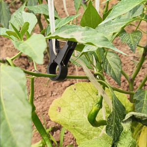 Clip agricole en plastique pour la fixation des vignes, le soutien des plantes et la suspension des semis, version anti-âge épaissie - Product Image 1