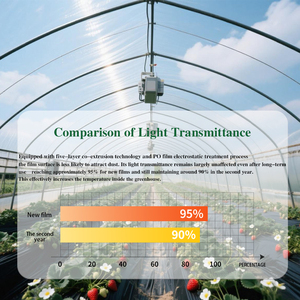 Aanpassen 200 Micron Pe Kas Folie Plastic Uv-Proof Landbouw Kas Plastic Folie Rollen - Product Image 5