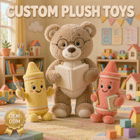 Ours en peluche personnalisés pour enseignants, jouets en peluche OEM ODM, poupée en peluche crayon et livre, cadeau scolaire, vente en gros