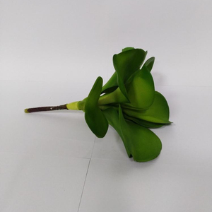 decorativo interesante de gran tamaño <span class=keywords><strong>rosa</strong></span> del desierto artificial plantas suculentas unpotted para Navidad decoración - Product Image 1