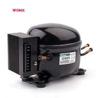 DC 12v 24v Mini compresseur de réfrigération ZH65G R134a pour réfrigérateur de bord de congélateur extérieur