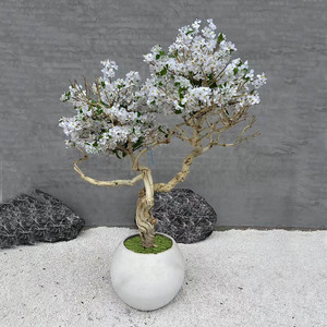 <span class=keywords><strong>Albero</strong></span> di Magnolia <span class=keywords><strong>Artificiale</strong></span> HK in Legno, <span class=keywords><strong>Albero</strong></span> di Ciliegio in Fiore <span class=keywords><strong>Artificiale</strong></span>, Pianta <span class=keywords><strong>Artificiale</strong></span> per Spazi Interni ed Esterni - Product Image 3