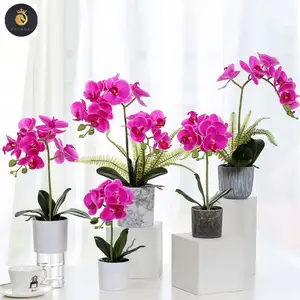 Pink Red Latex Pu Real Touch Dance Cymbidium Species Artificial Phalaenopsis Orchid Plant