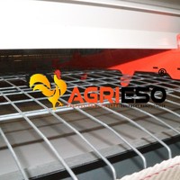 Ligne d'alimentation et de boisson pour cages à volailles de type A, projet clé en main pour élevages de poules pondeuses et reproducteurs