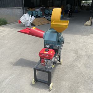 Nuovo TAIFENG uso domestico a basso prezzo <span class=keywords><strong>di</strong></span> mais silaggio Chopper pula taglierina erba taglierina paglia frantumazione macchina 550-1000 kg/h capacità - Product Image 2
