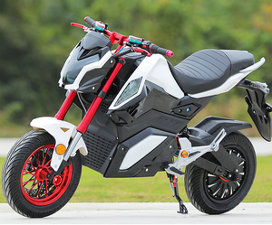 Moto électrique de course à batterie lithium 72V 1500W 2000W 3000W 4000W, performances puissantes, deux places - Product Image 3