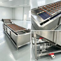 Automatische fruit- en groentewasmachine met belletjes voor appels, gember, zeevruchten, champignons en voedselverwerkingsbedrijven