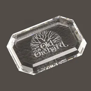 Cadeau d'affaires cristal hémisphère carré rectangle k9 presse-papier de haute qualité loupe de verre pour cadeaux de conférence